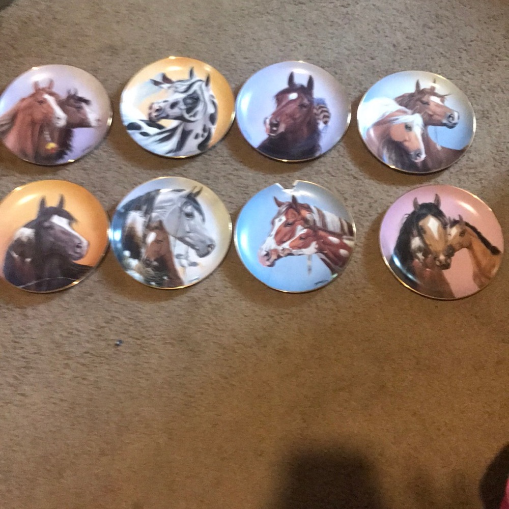 A Set of eight plates different horses collectable - Picture 1 of 3